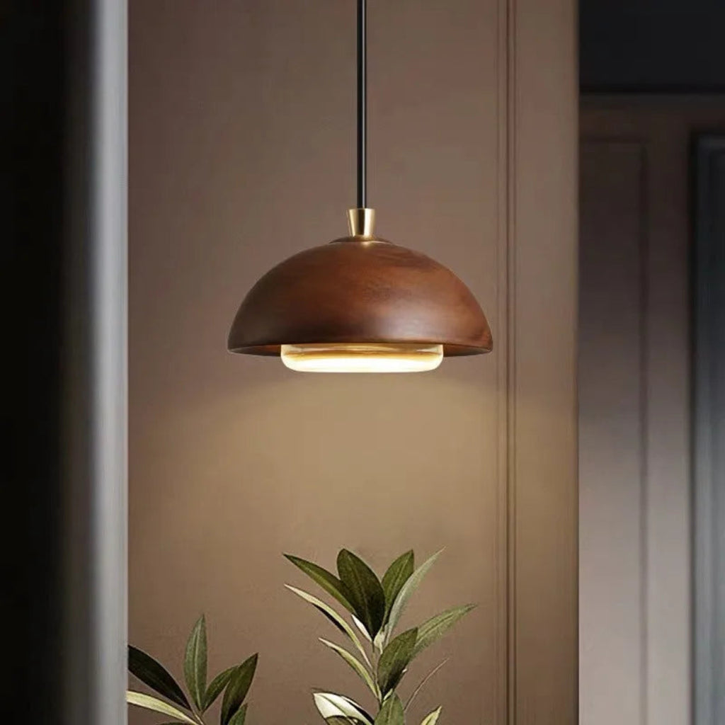 Brown pendant light hanging against a neutral wall with a plant in the foreground