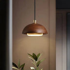 Brown pendant light hanging against a neutral wall with a plant in the foreground