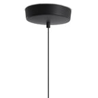 Black pendant light on a white background